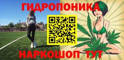 a pvp Свободный