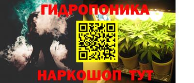 a pvp Свободный