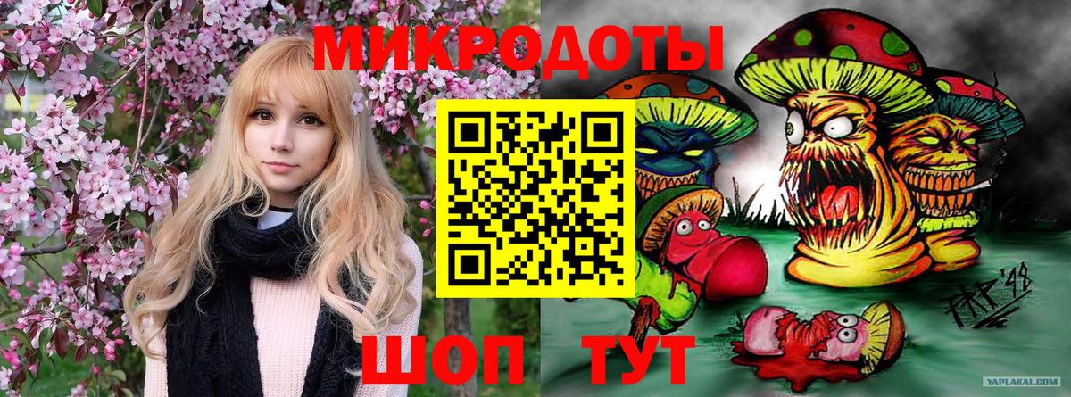 Семилуки  Галлюциногенные грибы мицелий  Вход с VPN  Псилоцибиновые грибы Psilocybine cubensis 